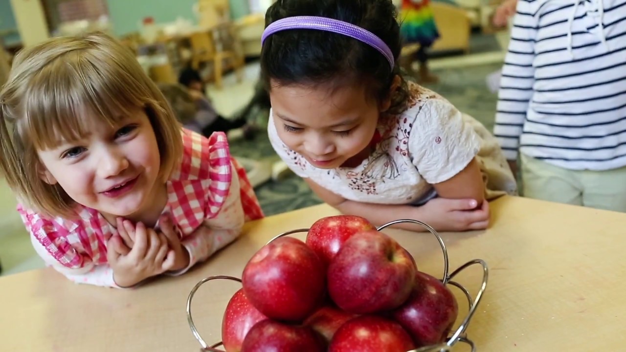 The Project Approach