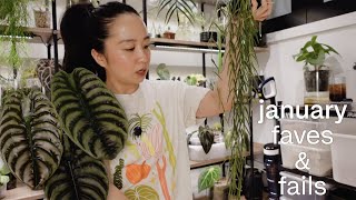 my current favourite plants! ...and fails 🫠