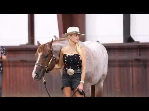 Full Recap of the VS Dispersal Sale