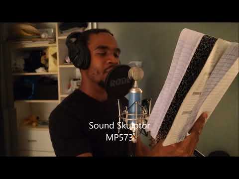 BLA B173 vs Sound Skulptor. MP573 (Black-Ken)