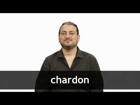 How to pronounce CHARDON in French