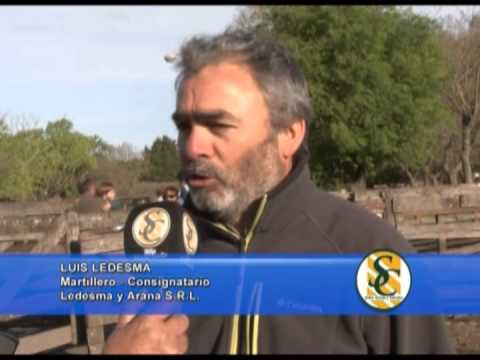 LUIS LEDESMA - Cabaña: Aiñarbe - La Mary - Tandil - 11/10/2013