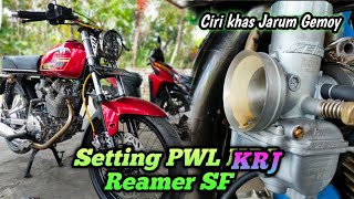 Download lagu Setting Karbu PWL KRJ Reamer 30 SF || Ciri Khas Jarumnya Gemuk' Beda Dari Yang Lain!!! mp3