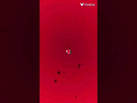 Cuando me pica una araña:                             Yo automaticamente en mi mente