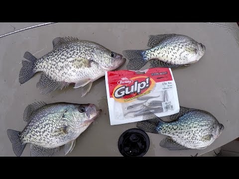 Crappie Fishing With The Berkley Gulp Minnow Video