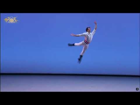Wagner de Carvalho (Brazil) - Philippe Variation | XIV Moscow Ballet Competition, Senior Round 1