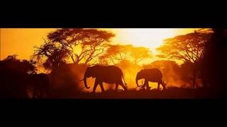 Ludovico Einaudi Melodia Africana III