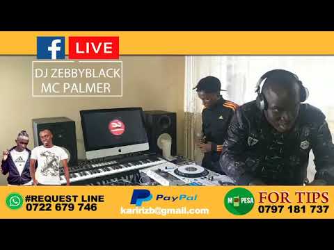 Mc palmer  n dj zebbyblack back roots live