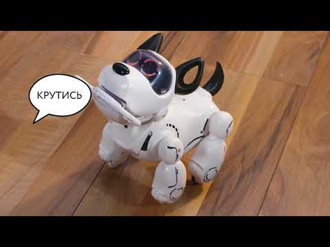Инструкция собака робот Pupbo на русском языке
