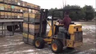 Honeybee Roundup at Sleeping Bear Farms