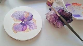 Discover the Secret to Painting Transparent Hydrangea Flower in Watercolor