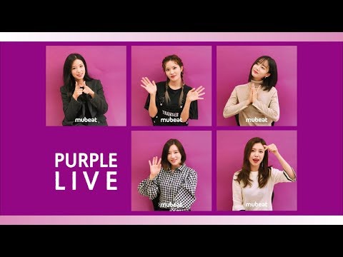 [with mubeat] Purple Live / Close up : BerryGood (베리굿) - Mellow Mellow