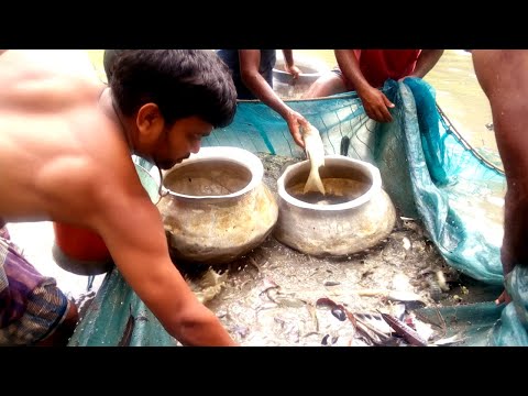 Amazing gill net fishing with beautiful nature | How to catch fish by gill net | Gill net fishing