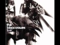 The Black Crowes- Cosmic Friend (Live)