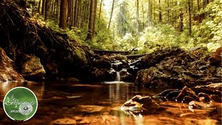 Msica Anti depresso, Ansiedade, Stress, Insnia com som guas calmas