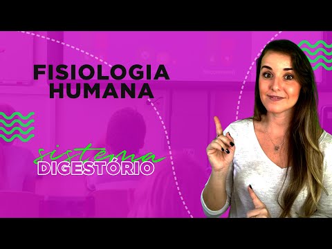 HUMAN PHYSIOLOGY - DIGESTIVE SYSTEM l Prof. Louise Medeiros