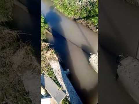 Agua contaminada en VI región de O'Higgins... Localidad de Olivar