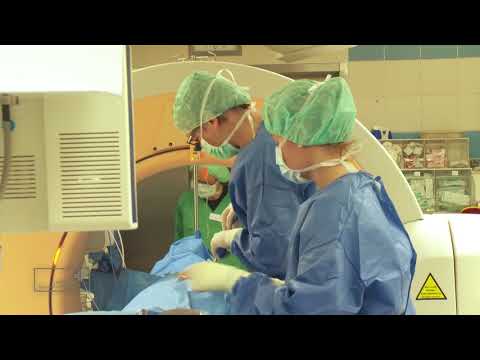 Osteochondrose legte Ohren Pulver für Knorpel und Gelenke