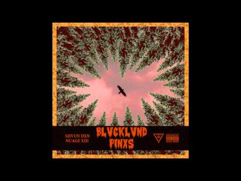 SHVUN DXN x XIII.CARAT$ - TRAP WOLVES ft. MUFFLUCID