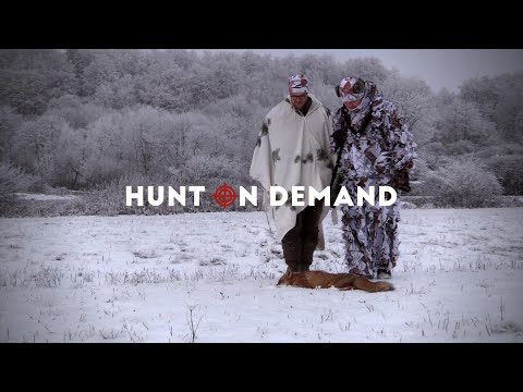 Fuchsjagd im Schnee – Dreispross Hunt on Demand Trailer