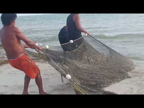 PESCARIA DE REDE MANGOTE NA PRAIA DE MANGUE SECO EM PERNAMBUCO | LITORAL NORTE DE PERNAMBUCO