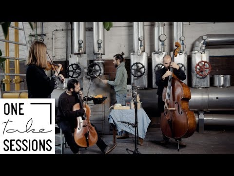 Saitenfalter - Redma Schweigma | One take sessions