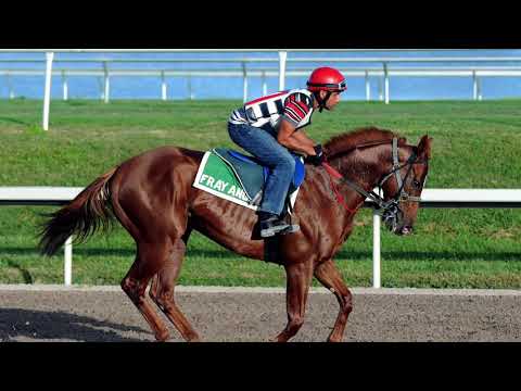 Alberto Paz Rodríguez con dos corredores en la Serie Hípica