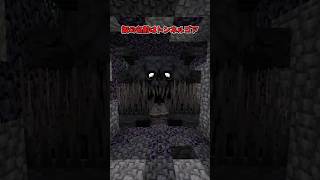 絶対に「洞窟」の奥を覗くな。【マイクラ】
