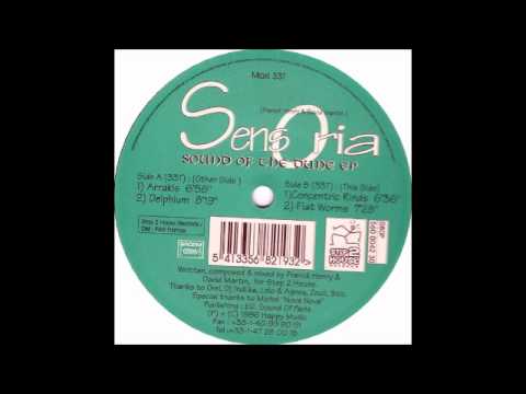 Sensoria - Sound Of The Dune EP - Flat Worms