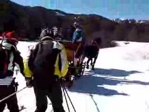 Giro della Grande Guerra - Sci a cavallo!