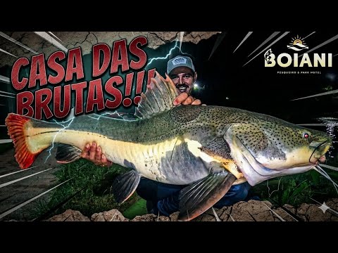 A CASA DAS BRUTAS!!! Park Hotel Pesqueiro Boiani em Arealva-SP