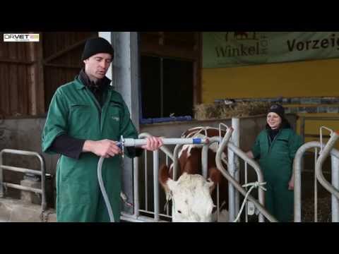 , title : 'Kuh schonend drenchen (DR. VET - Die Tierärzte - Rinderpraxis)'