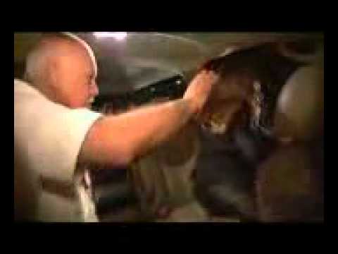 Celine Sur les Plaines - Despus del Concierto- After the Concert - Aprs le Concert in 2008