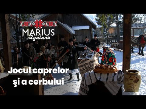 Marius Zgâianu - Jocul caprelor şi a cerbului