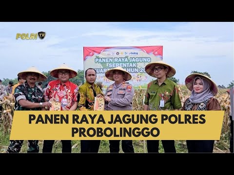 PANEN RAYA JAGUNG POLRES PROBOLINGGO