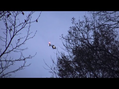 Suche nach 74-Jährigen in Kottenforst zwischen Bonn-Brüser Berg - Alfter-Witterschlick am 03.12.20