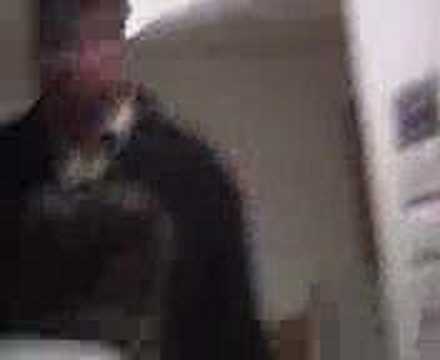 viktoria harburg.... hehe scheiße man