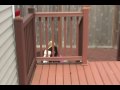 spy on you 0001