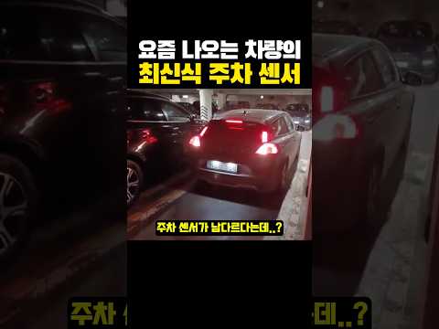 요즘 나오는 차량의 '최신식' 주차 센서?ㅋㅋㅋ