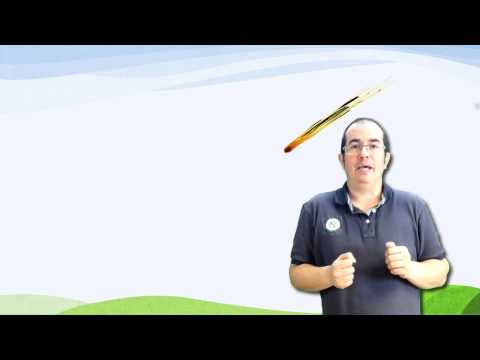 Vídeo: Estrelas fugaces