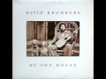 David Bromberg - Georgia on my Mind