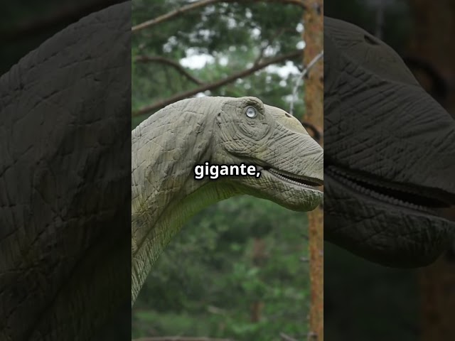 Vídeo relacionado con Mokele mbembe: El dinosaurio del congo Camiseta Cuello V