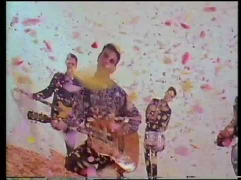 The Wedding Present "Why Are You Being So Reasonable Now?" promo video