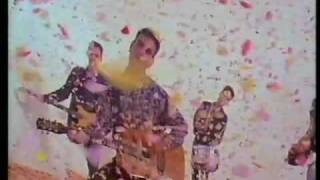 The Wedding Present "Why Are You Being So Reasonable Now?" promo video