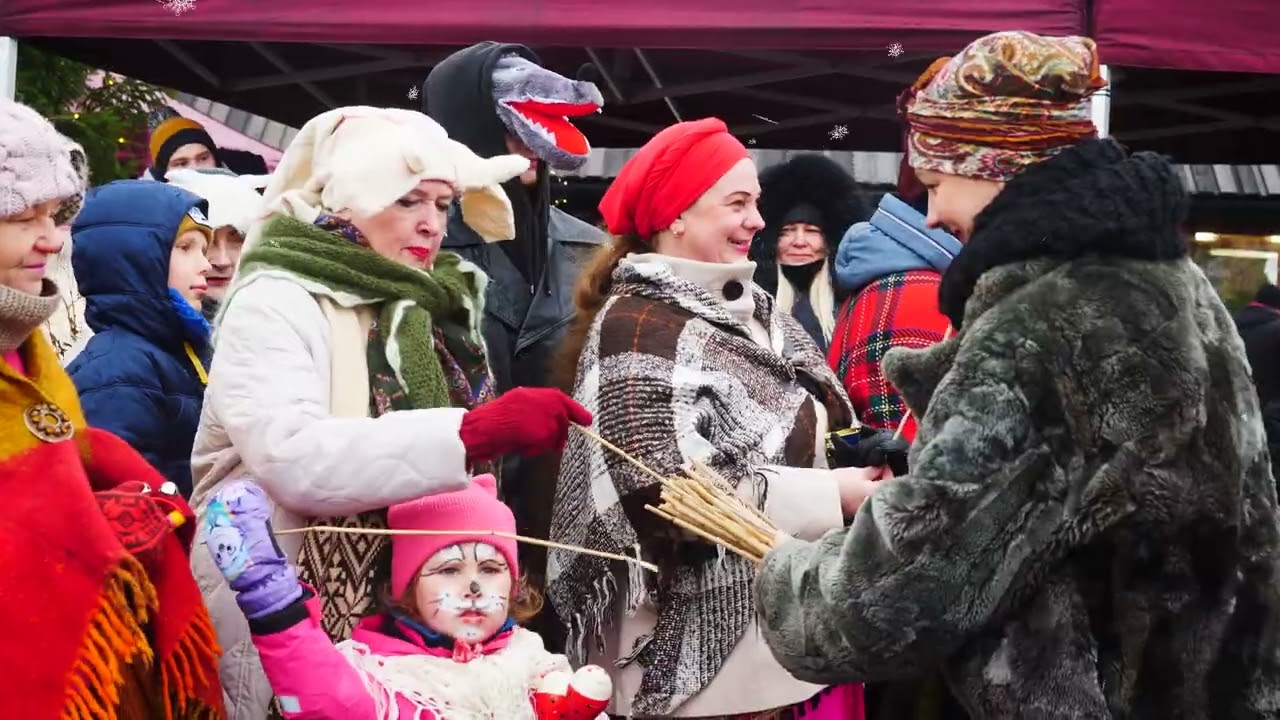 Ziemas saulgrieži Ventspilī
