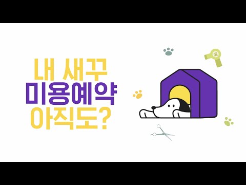 반짝 - 반려생활의 단짝_애견미용예약 강아지 산책