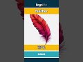 feather - 羽毛 video thumbnail