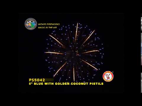 SB125PE10 - 5 INCH SHELL - WIZARD FIREWORKS - PS5042