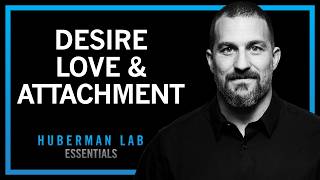 The Science of Love, Desire & Attachment | Huberman Lab Essentials