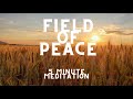 Remember and Feel Your Field of Peace: A 5 Minute Meditation